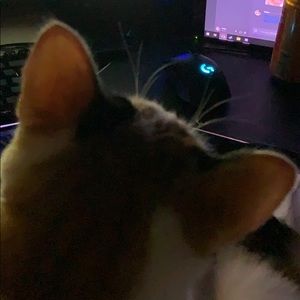 Meet your Posher, Frederick